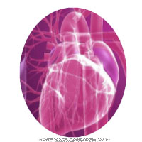 Cardiovascular